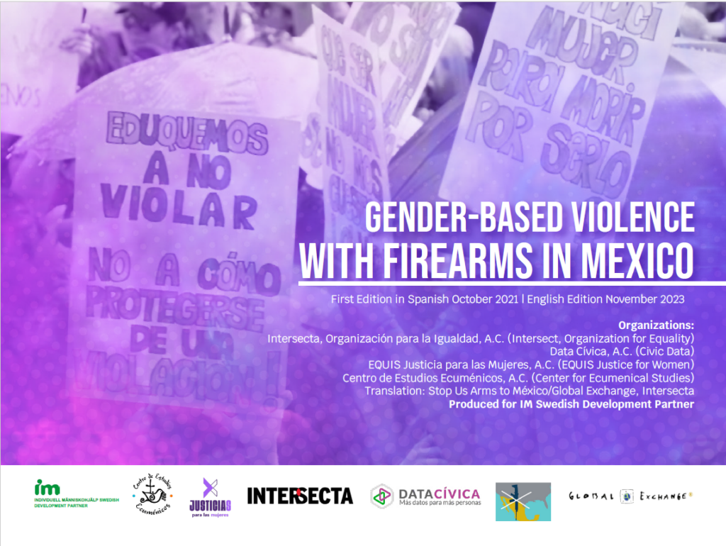 Informe de violencia de género con armas en inglés